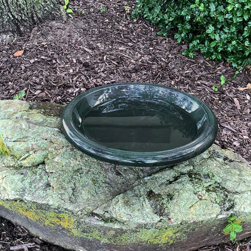Bowl Only Bird Baths You'll Love | Wayfair